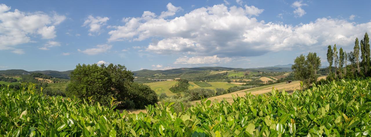 Agriturismo Dei Casali Amelia Dış mekan fotoğraf